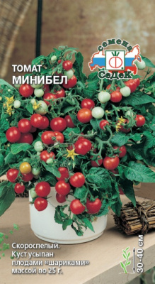 tomat_minibel