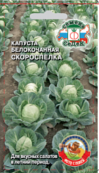 kapusta_skorospelka