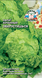 salat_obkhrustishsya