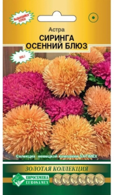 Астра Осенний блюз
