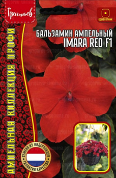 Бальзамин Имара Ред