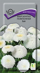 margaritka_pomponnaya_white