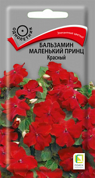 Balzamin-Malenkiy-prince-Krasniy