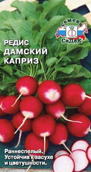 Редис дамский каприз