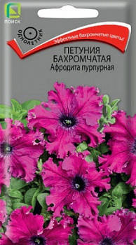 Петуния бахромчатая Афродита Пурпурная