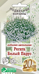 Лобелия Регатта Белый Парус
