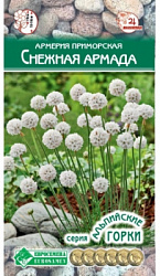 Армерия Снежная Армада