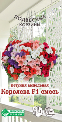 Петуния Королева