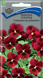 fialka_rogataya_sovershenstvo_rubinovaya
