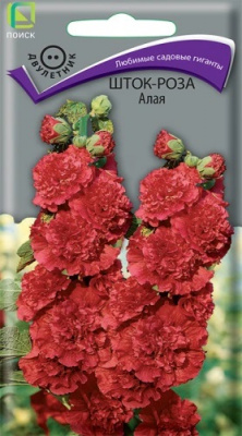 Шток-роза Алая