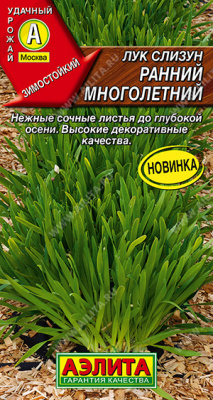 Лук слизун Ранний многолетний