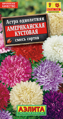 Астра Американская кустовая, смесь сортов_ЦП