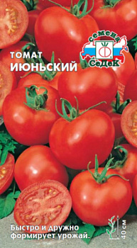 tomat_iyunskiy