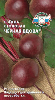 svekla_chernaya_vdova