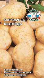 kartofel_ballada