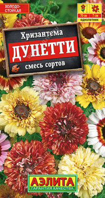 Хризантема дунетти