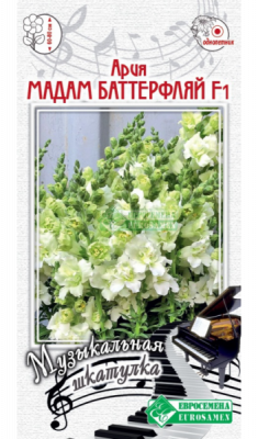 Львиный зев Ария Мадам Баттерфляй