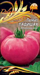 Падишах