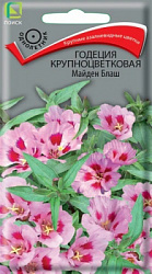 Годеция крупноцветковая Майден Блаш
