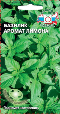 bazilik_aromat_limona
