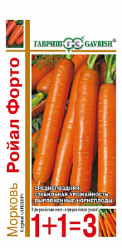 Форто