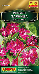 Ипомея Зарница махровая