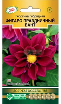 Георгина гибридная Фигаро Праздничный Бант