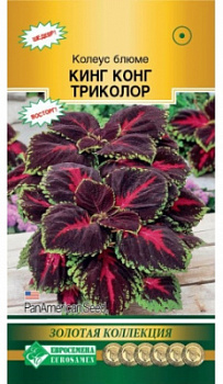 Колеус Кинг Конг