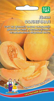dynya-solnechnaya