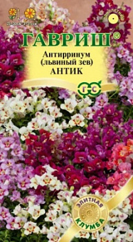 Антик
