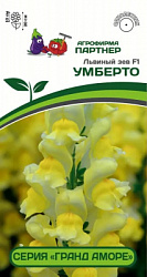 Львиный зев умберто