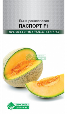 Дыня Паспорт