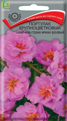 Портулак крупноцветковый Солнечная страна нежно-розовый
