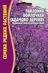 Павлония