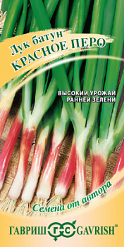 Лук на зелень Красное перо