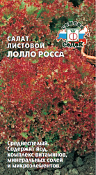 salat_lollo_rossa