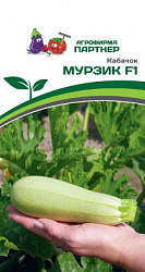 Кабачек мурзик