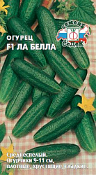 ogurets_la_bella_f1