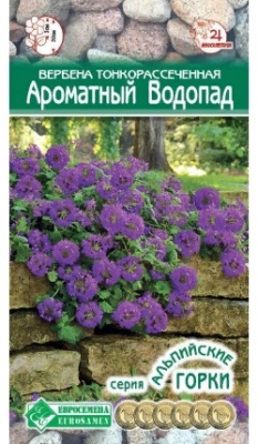 Вербена водопад
