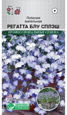 Регатта