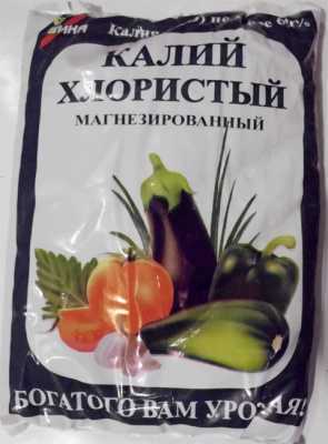 00000001213_1