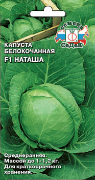 kapusta_natasha_f1