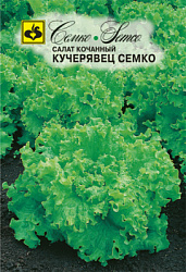 salat_kochannyj_kucheryavec_semco
