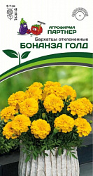 Бархатцы бонанза голд