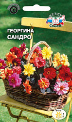 Гергина Сандро