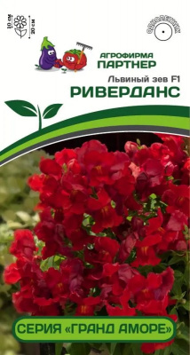 Львиный зев риверданс
