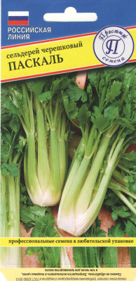 selderey_paskal
