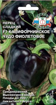 perets_kaliforniyskoe_chudo_fioletovoe_f1_sl