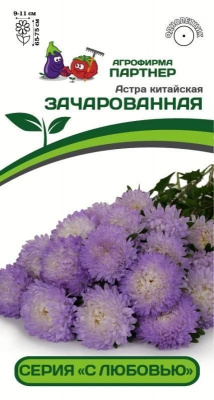 АСТРА КИТАЙСКАЯ ЗАЧАРОВАННАЯ