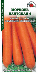 Морковь нантская